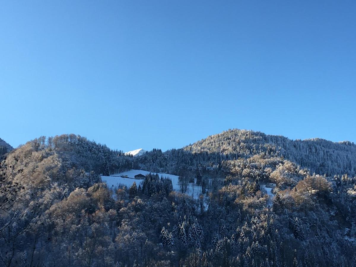 Nant D Ant Apartment Samoens Exterior photo